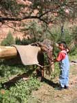 Clickable Image: Canyon de Chelly, expedition, tour, workshop, arizona, Taos Art School, paint, photography, painting, navajo, horses, horse