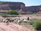 Clickable Image: Canyon de Chelly, expedition, tour, workshop, arizona, Taos Art School, paint, photography, painting, navajo, horses, horse