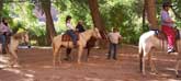 Clickable Image: Canyon de Chelly, expedition, tour, workshop, arizona, Taos Art School, paint, photography, painting, navajo, horses, horse