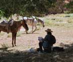 Clickable Image: Canyon de Chelly, expedition, tour, workshop, arizona, Taos Art School, paint, photography, painting, navajo, horses, horse