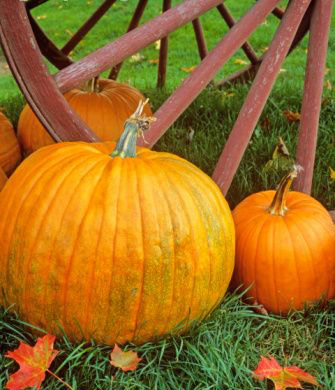 image: pumpkins with wagon wheel