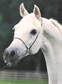 Clickable Image: Equine arts, horses, horse, sculpture, statues, painting