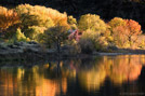 Photograph: The Rio Grande with autumn color trees